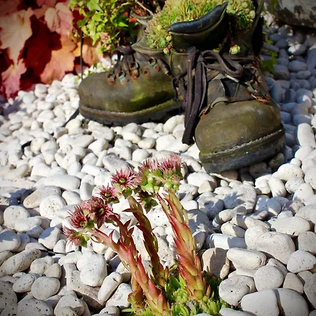 Alpspitz بيت ضيافة