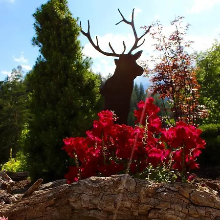 بيت ضيافة Alpspitz ببيرفيير