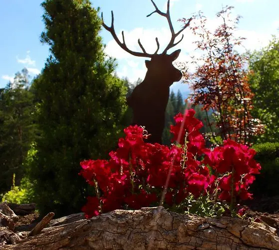 Pensión Alpspitz Biberwier